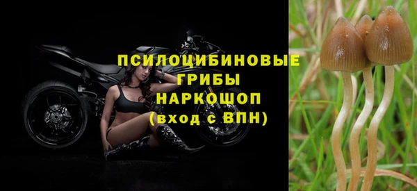 mix Абинск