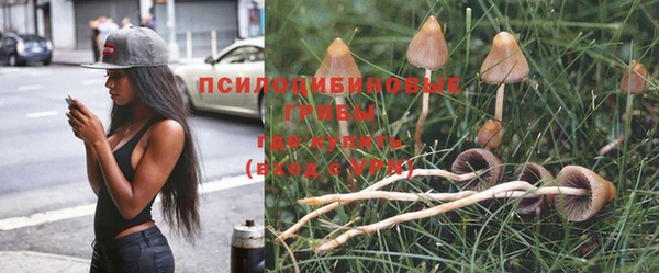 Альфа ПВП Покров