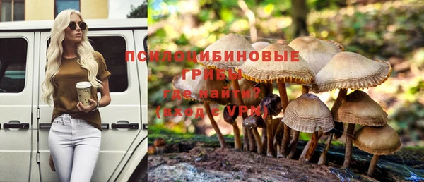 мдпв Покровск