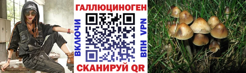 Псилоцибиновые грибы GOLDEN TEACHER Звенигород