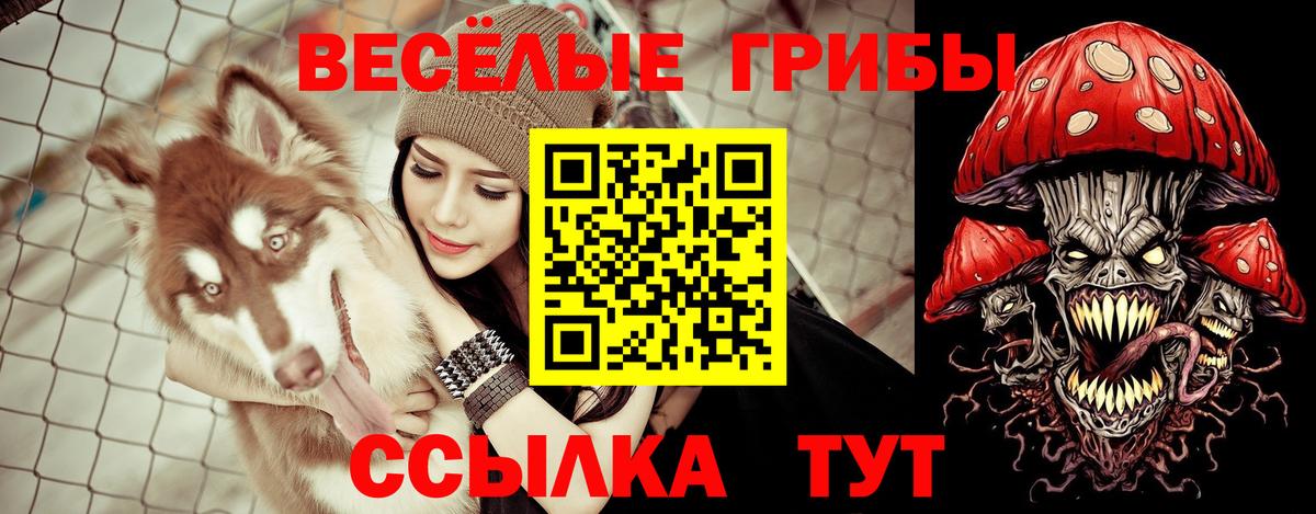 Псилоцибиновые грибы Magic Shrooms  Вход с VPN  Звенигород  Псилоцибиновые грибы прущие грибы 